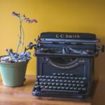 dan-dealmeida-CE25MoMmoSo-unsplash